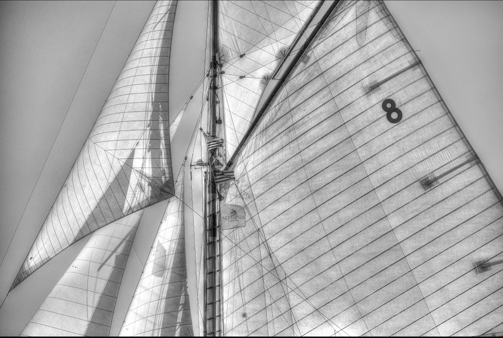 6---Voile-n8---60x90-cm-1.jpg